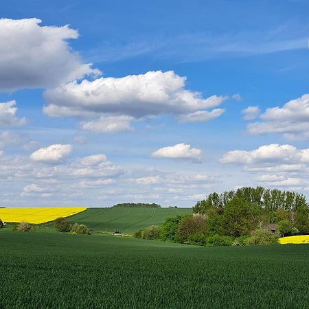 Grosszuegige Wohnung Am Comberg-Park メットマン エクステリア 写真