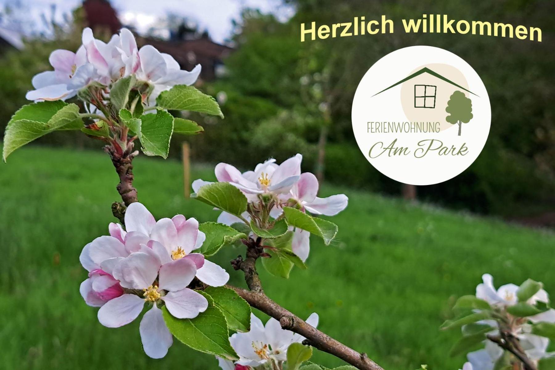 Grosszuegige Wohnung Am Comberg-Park メットマン エクステリア 写真